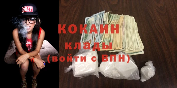 крисы Липки
