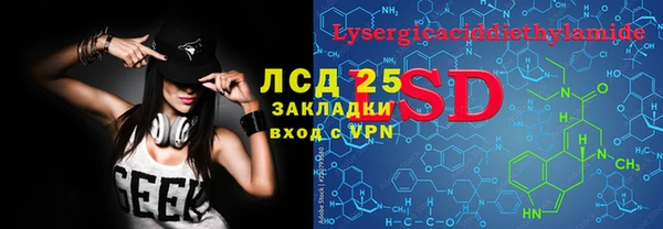 сатива Магас