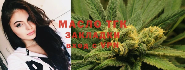 сатива Магас