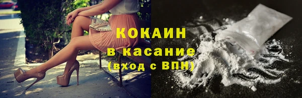 сатива Магас